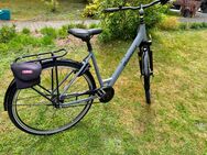 Diamant Damenfahrrad - Spremberg