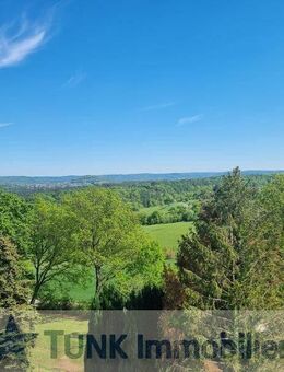 Feldrand mit traumhaften Ausblick - Bezaubernde Whg mit Außen Pool, Sauna, EBK und Autostellplatz in Mömbris/Daxberg! - Mömbris