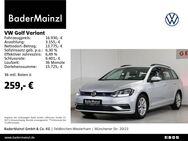 VW Golf Variant, 1.5 TSI Comfortline, Jahr 2019 - Feldkirchen-Westerham