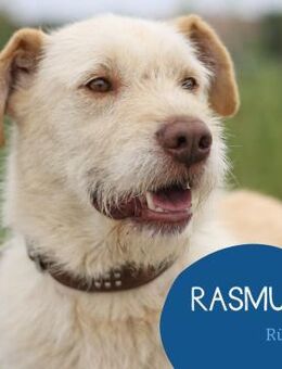 Menschenbezogen Rasmus such sein Familie - Tarmstedt