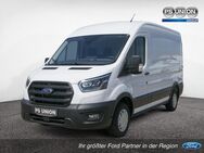 Ford Transit, Kasten 290L2 Trend ServiceLine Regal, Jahr 2022 - Halle (Saale)