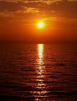 Wellnessmassage für Frauen - Berlin