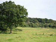 Gute Geldanlage - großes Waldgrundstück - Tiefenbach (Regierungsbezirk Oberpfalz)