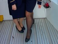 Stewardess abgetragenen Strümpfe - Frankfurt (Main)