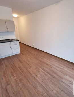 Trier-Kaiserthermen: Attraktives 1-Zimmer Appartement mit 20 m² Wfl. - Trier