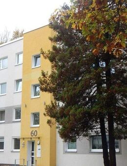 Perfekte Lage und bezugsfertig renoviert: barrierearme 3-Raum-Wohnung mit Balkon - Recklinghausen