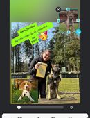 Hundeschule für alle Rassen in 91074