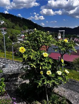 Wohnen und Arbeiten unter einem Dach - Epfendorf