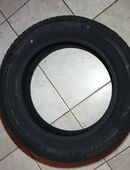 Allwetterreifen 215/55 R17 98V Neu Westlake DOT 15/24 All Season Elite Z-401 ... 1 Stück in 04425