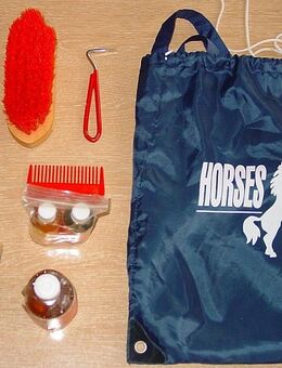 Putzzeug Zubehörset für Pferd und Pony: Striegel Bürste Hufkratzer Shampoo Kardätsche Notizbuch neu unbenutzt - Landsberg (Lech)