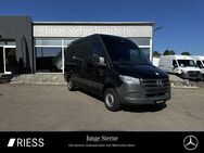 Mercedes Sprinter, 316 KA 3665 L2H2 MBUX A, Jahr 2020 - Rottweil