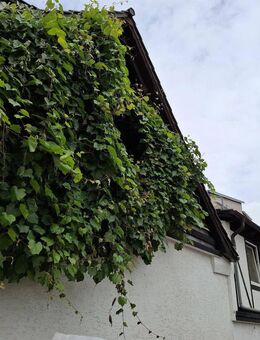 Sehr großes Einfamilienhaus, 11 Zimmer, kleiner Garten, Wintergarten, Whirlpool, Sauna, Fitnessraum - Grünstadt