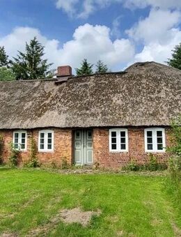 renovierungsbedürftiges Reetdachanwesen auf 1,85 Hektar großem Grundstück sucht kreative Liebhaber - Risum-Lindholm