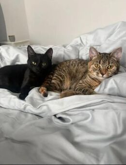 Mona & Lisa Kleines Dreamteam - Unterföhring