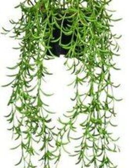 Kunstranke Nerifolia-Hänger Blatthänger, Creativ green, Höhe 70 cm, im Hängetopf aus Kunststoff