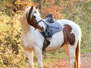 Pony Stute in toller Jacke - Könnern