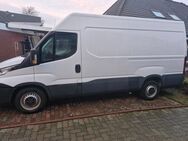 Iveco Daily Transporter - Hohenwestedt