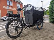 E Lastenrad Cargo - Weiden (Oberpfalz)