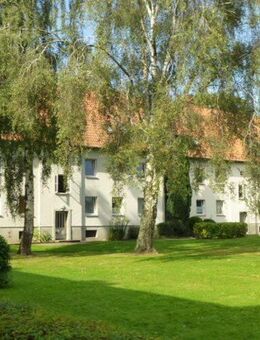 3-Zimmer-Wohnung zum Wohlfühlen (WBS erforderlich) - Uelzen