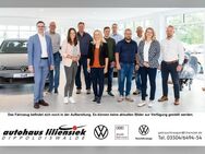 VW T7 Multivan, 2.0 TDI Multivan Style, Jahr 2025 - Dippoldiswalde