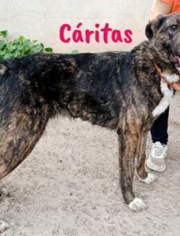 Cáritas lebensfroh & herzlich 07/22 ESP - Ruppertsecken