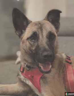 Jane, Familie für Rohdiamant gesucht - Freyung