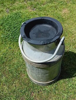 Aluminium Milchkanne 10 Liter - Kolkwitz