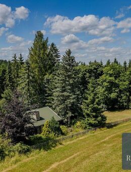 Naturparadies in Schnarrtanne - Ihr Gartenhaus am Waldrand und Badesee + Kaminofen & Fußbodenheizung - Auerbach (Vogtland)