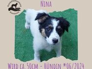 Nina - Rotenburg (Fulda)