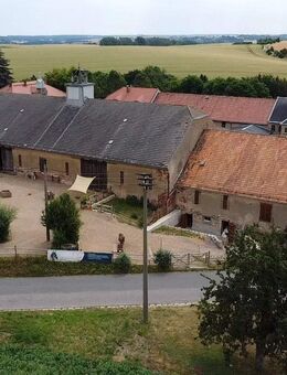 Charmantes denkmalgeschütztes Freigut mit Tiny House und genehmigten Sanierungsplänen - Lommatzsch