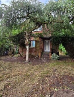 Einfamilienhaus direkt am Wald in Pinneberg - Pinneberg
