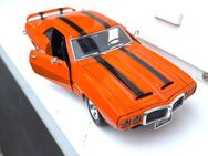 1:18 Pontiac 69 Trans AM Modellauto--- Road Signaturs - Meckenheim