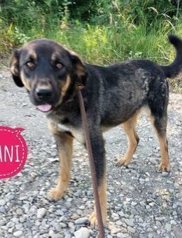 Shani möchte Liebe erfahren - Flörsheim-Dalsheim