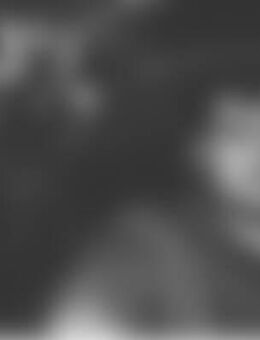 Ali*** - Sindelfingen