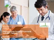 Pädagogische Fachkraft (m/w/d) Vollzeit / Teilzeit - Wismar