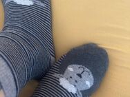 Getragene Socken, Socken - Cottbus