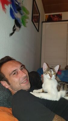 Profil