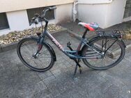 Fahrrad Falter 26er - Hamm