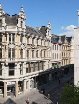 3-Raumwohnung im Dachgeschoss an der Ulrichskirche! - Halle (Saale)