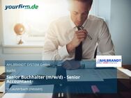 Senior Buchhalter (m/w/d) - Senior Accountant - Lauterbach (Hessen)