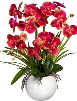 Kunstorchidee Phalaenopsis Orchidee Phalaenopsis, Creativ green, Höhe 58 cm, im Keramiktopf