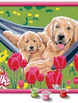 Ravensburger Malen nach Zahlen Kuschelpause, Made in Europe