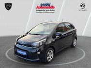 Kia Picanto, 1.2 Edition 7 wenig, Jahr 2018 - Wunstorf