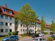 Renovierte 3-Zimmer-Wohnung mit Balkon! - Osnabrück