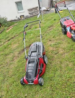 230V Rasenmäher Einhell - Regensburg