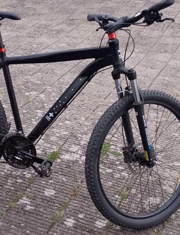Verkaufe mein Mountainbike - Rüsselsheim