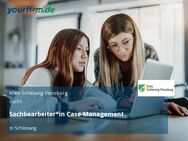Sachbearbeiter*in Case-Management - Schleswig