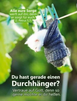 Christliches A1-Poster – Kätzchen im Socken - Schaukasten Ideen mit Plakaten - Wilhelmshaven Zentrum