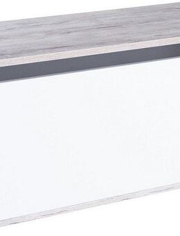 Home affaire Truhe Spielzeugkiste Rieke (1 St), 2 Gasdruckfedern zum Öffnen und Schließen, 1 großes Ablagefach