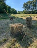 Heu* Heubündel* Futter* Heuballen in 99441